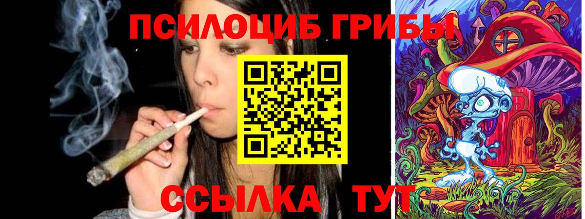 Сокол  Галлюциногенные грибы Psilocybine cubensis  Вход с VPN 